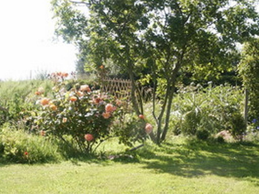 B&B Kerlilou Plouguiel ภายนอก รูปภาพ